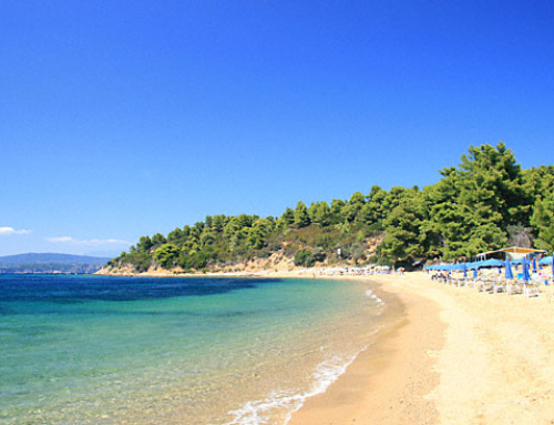 Descubriendo las Cícladas: qué esperar en un viaje entre Santorini, Mykonos, Paros y Naxos